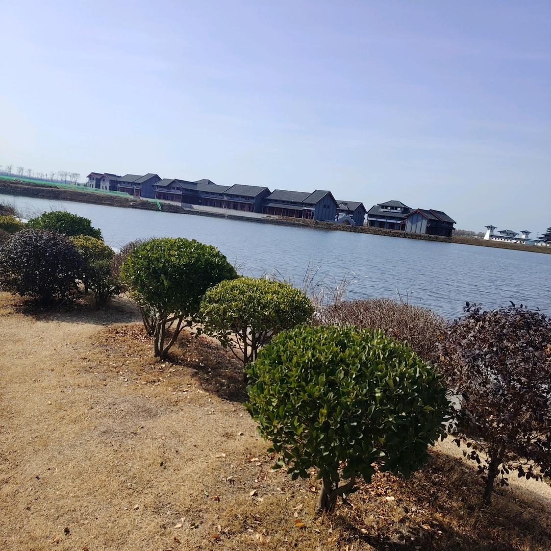 三只松鼠不生小松鼠-