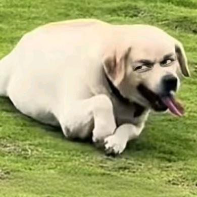 .