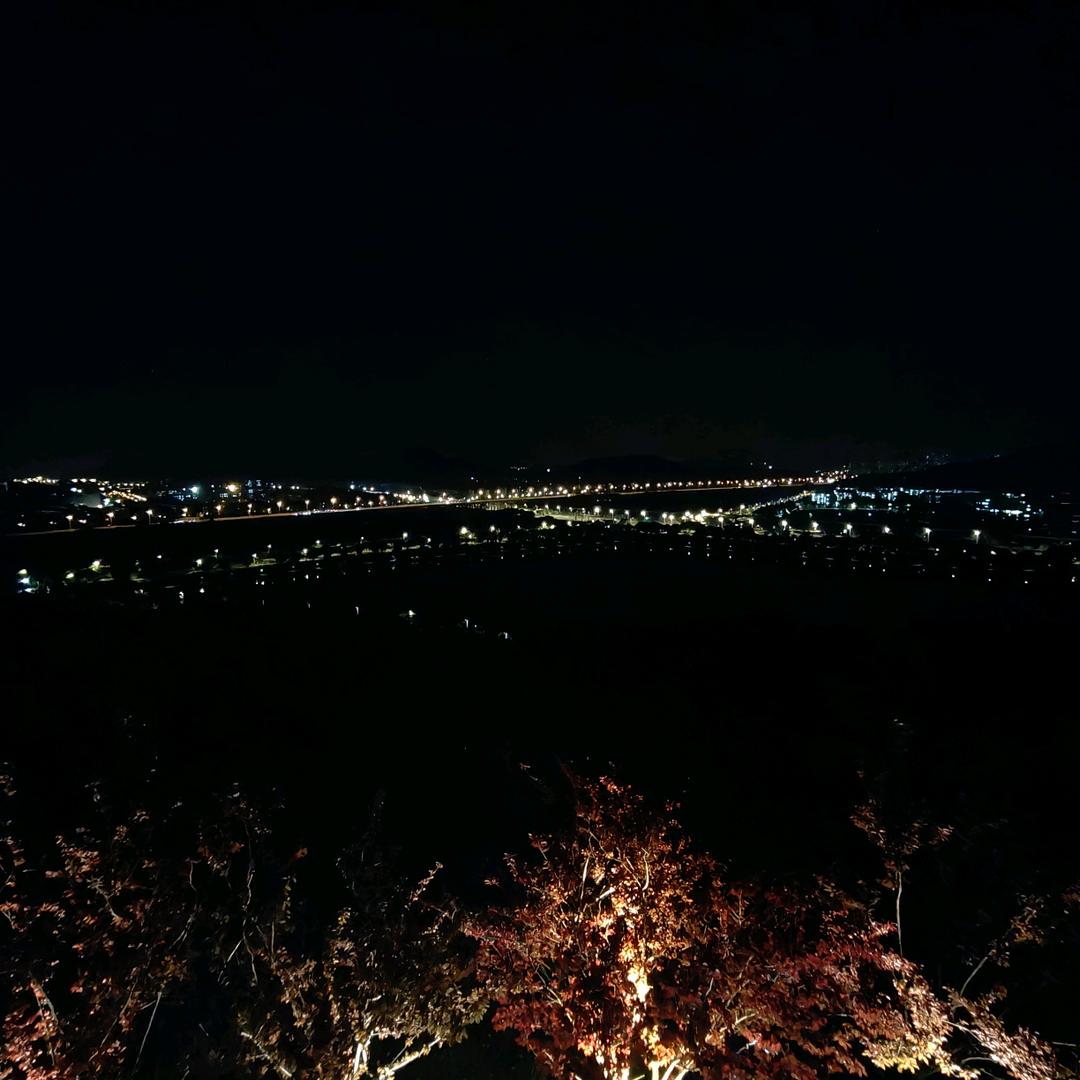 烂西红柿🍅🍅🍅