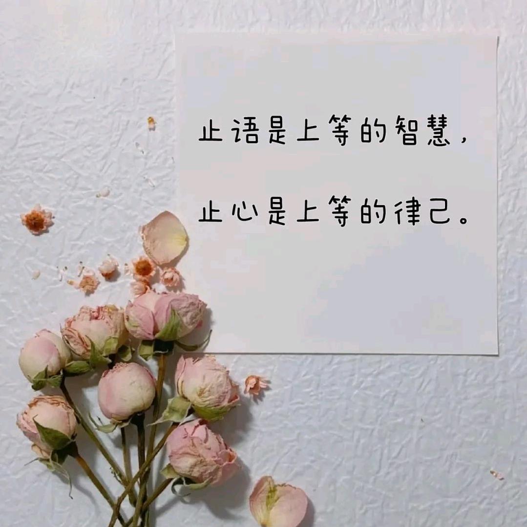 与月与海