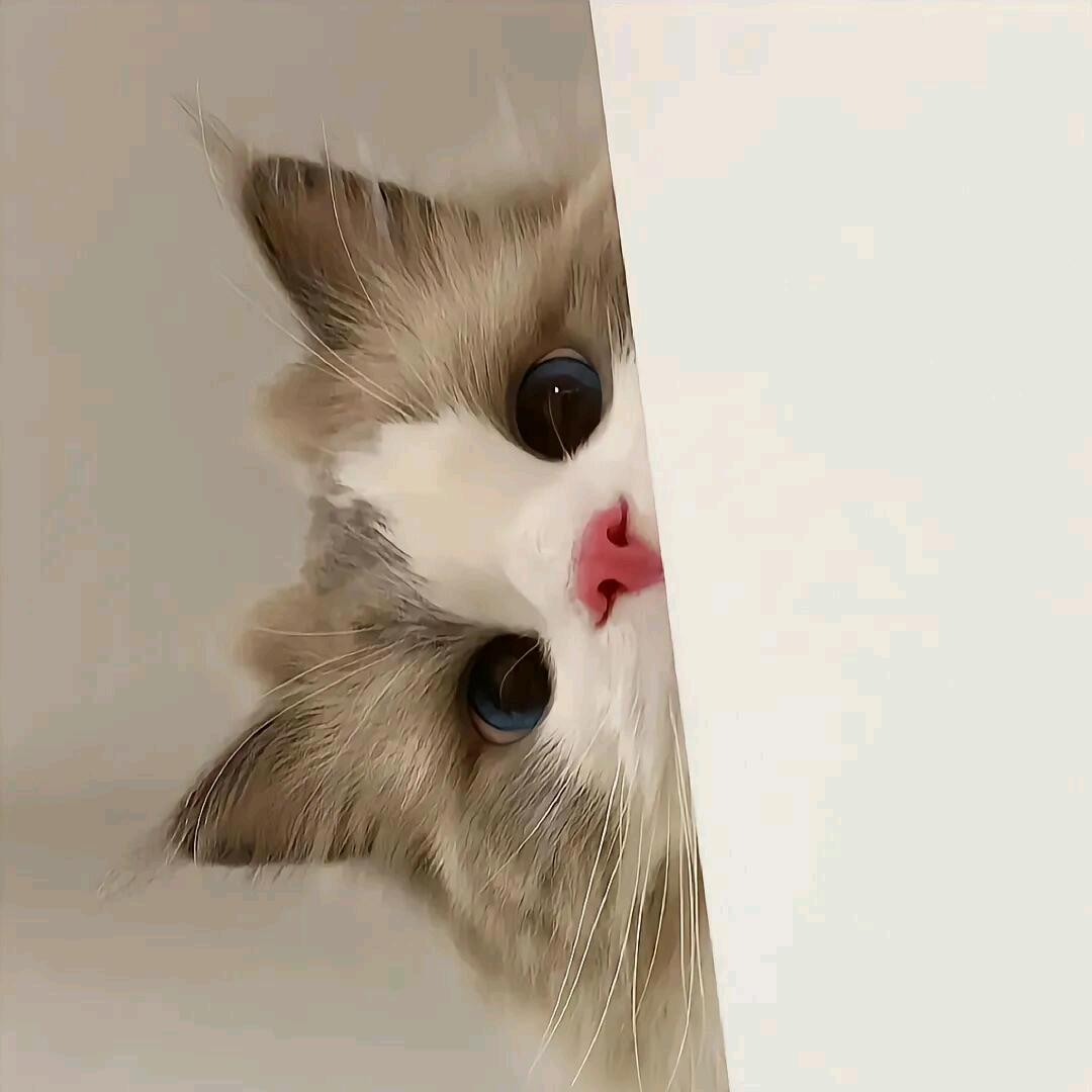 成就非凡