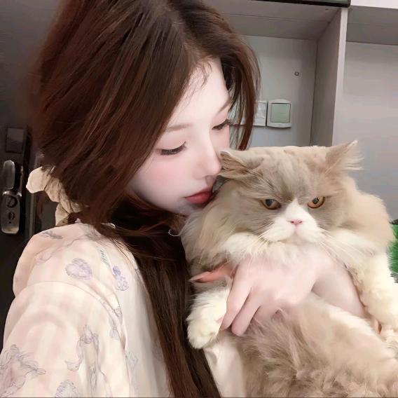 晚晚v