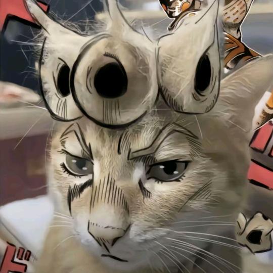 303