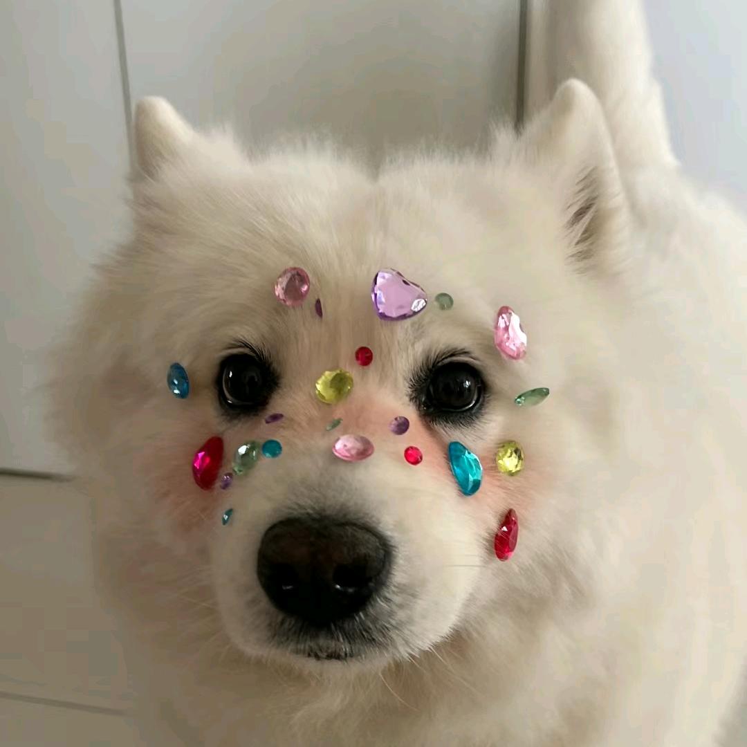 meiahsidjdbd
