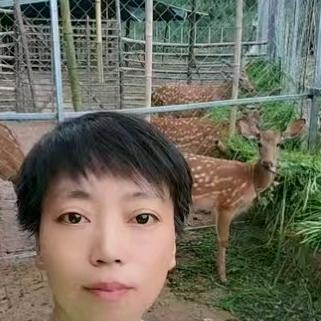 重庆綦江梅花鹿生态养殖晓李