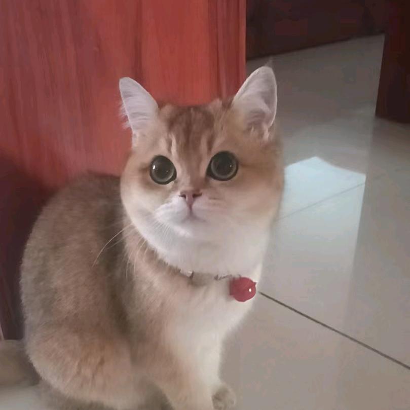 Ta💋叫我禸汍ふ