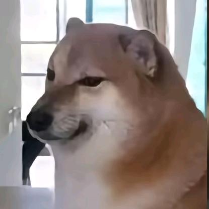 、白`