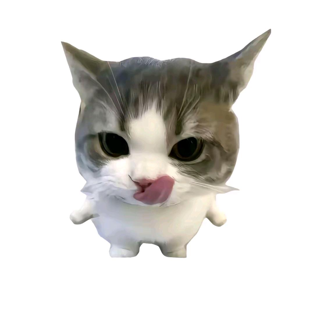 江小桐头像