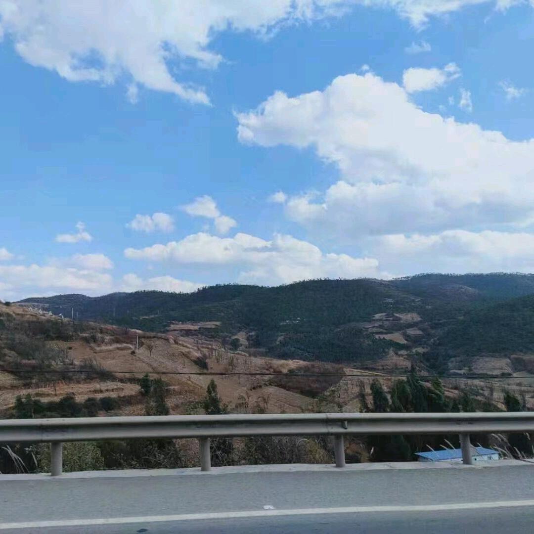 来瓶八二年的苹果醋