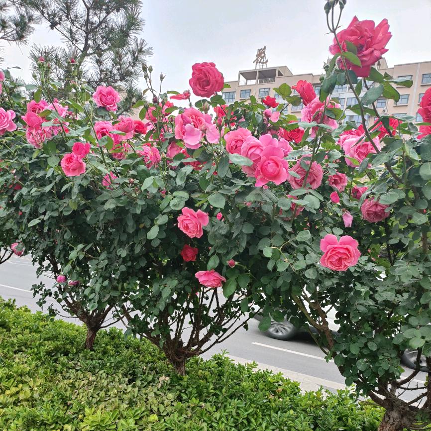 顺风顺水
