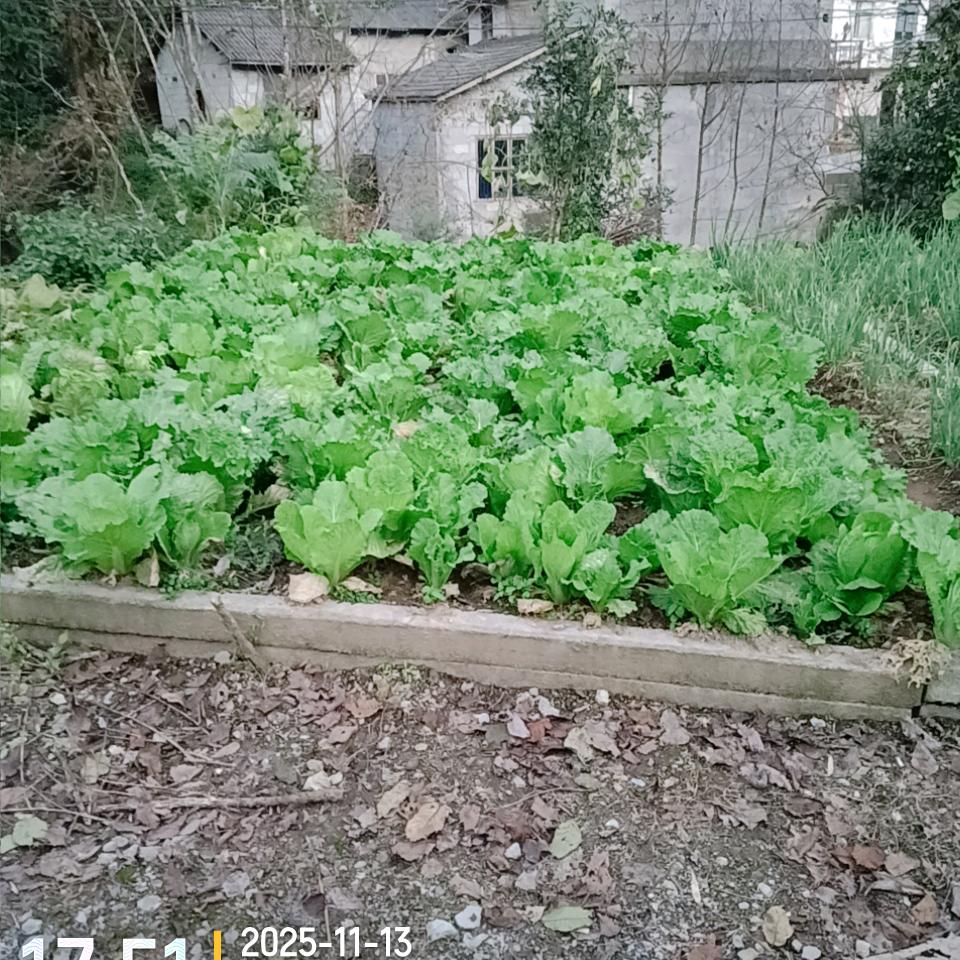 @💞小💞贤💞荣💞大💞号