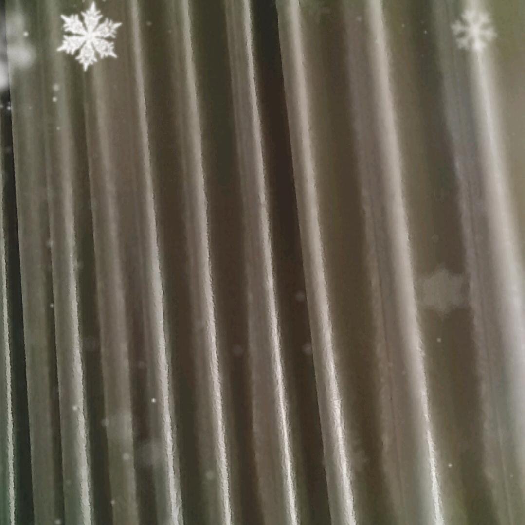 傲骨梅无仰面花