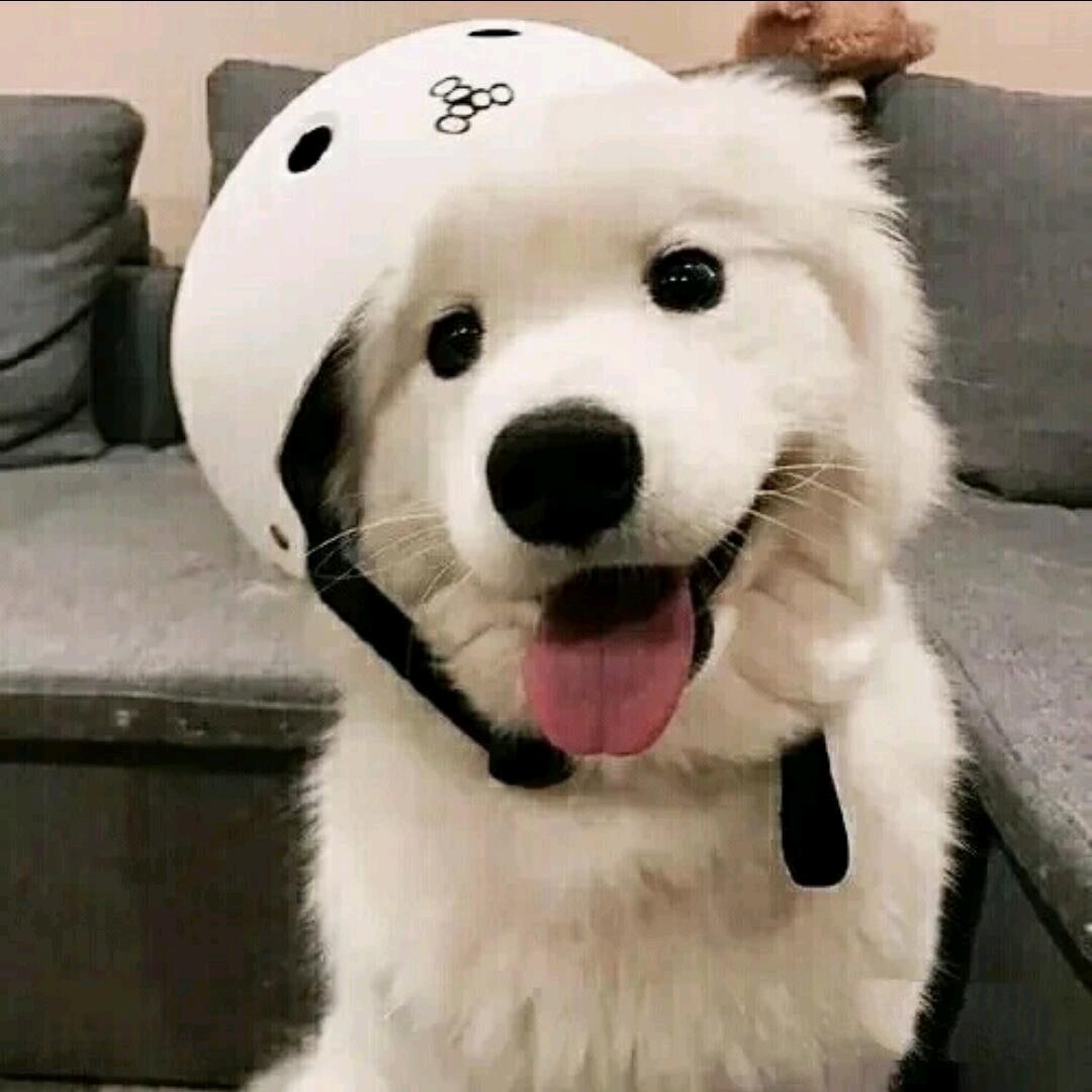 ii二月