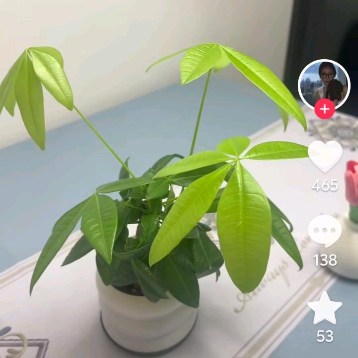 百善孝为先