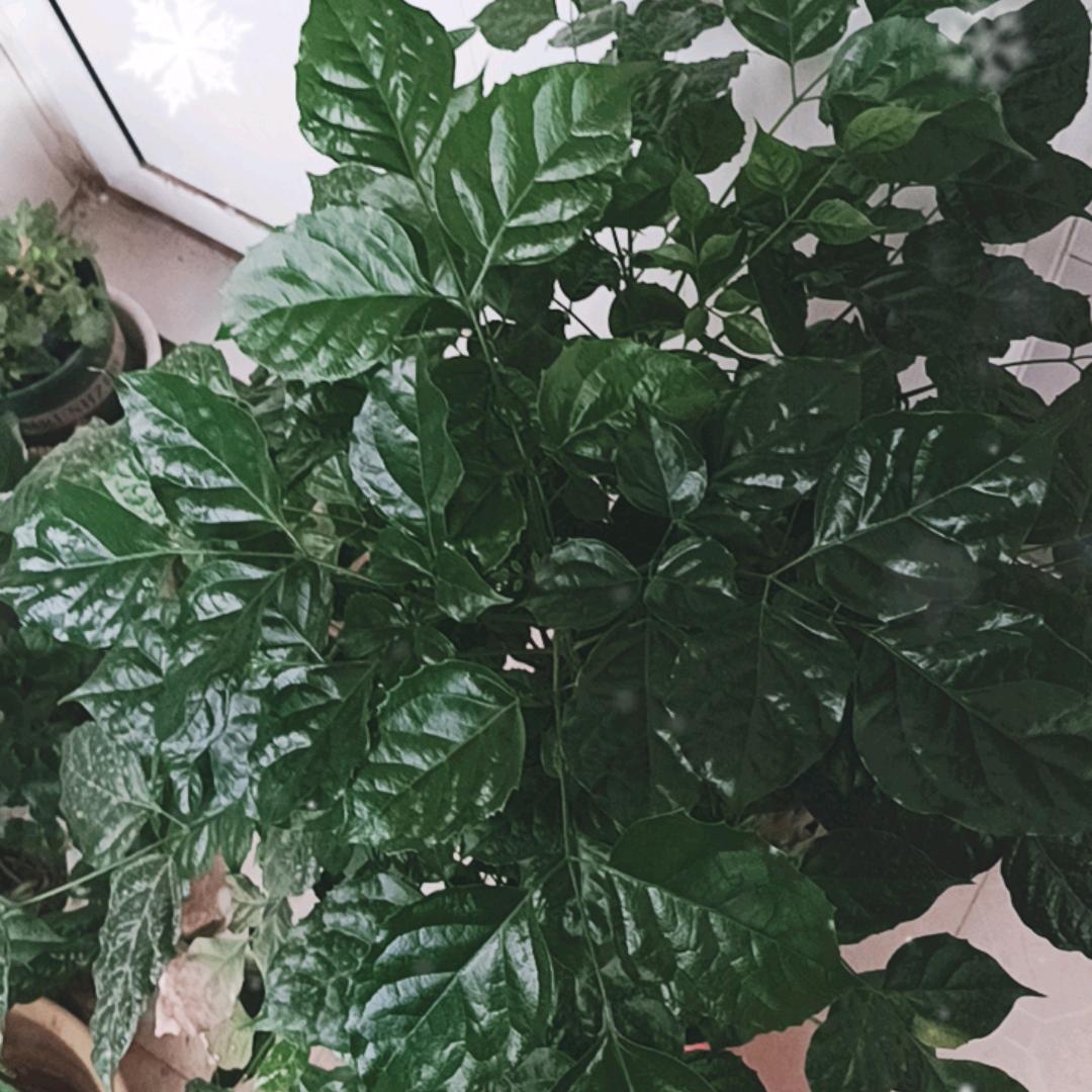 微风细雨：