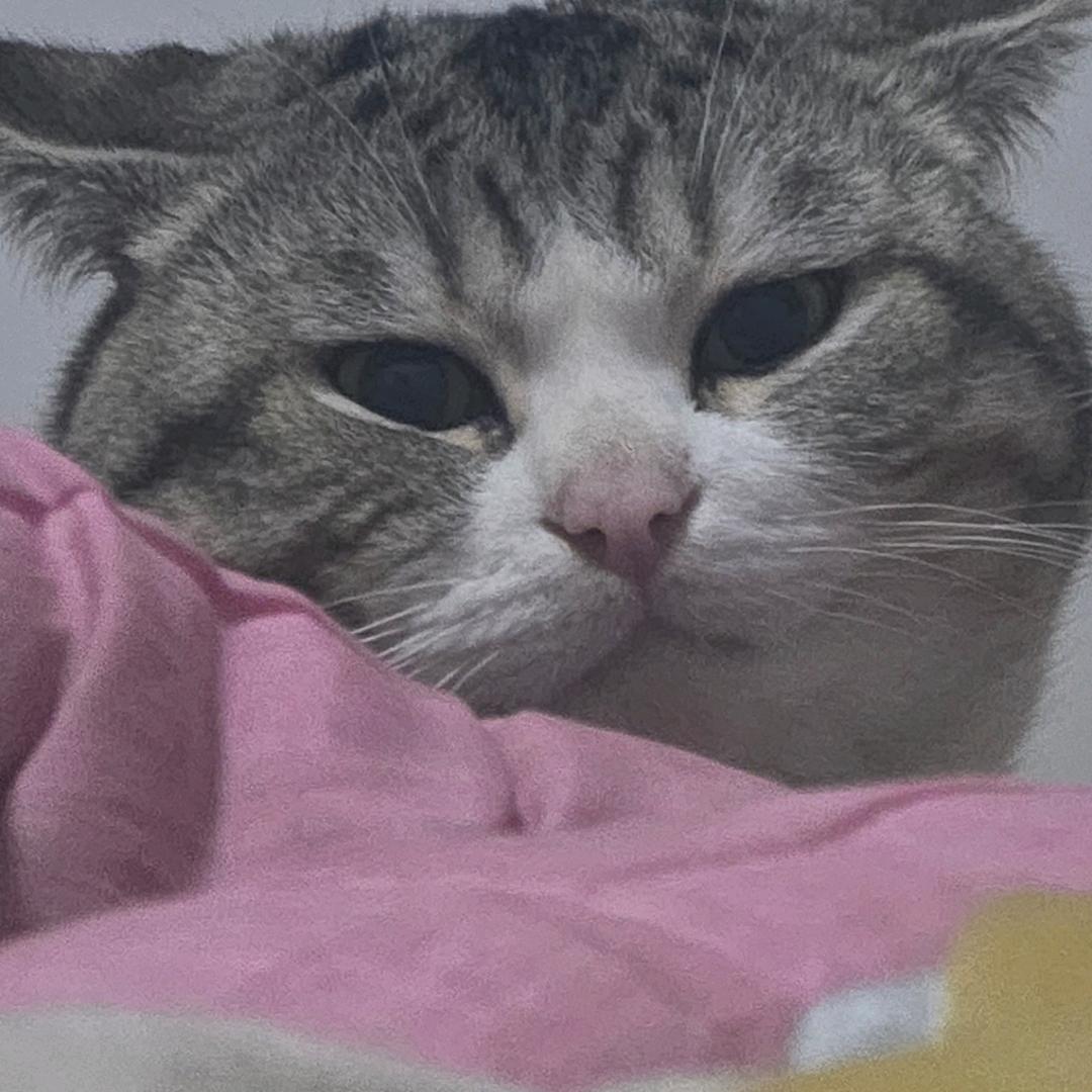 小委屈