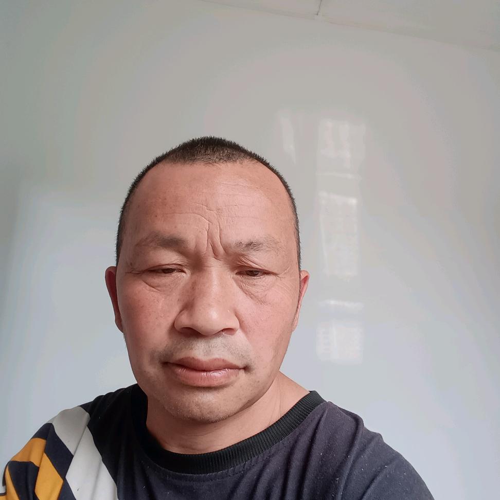 爬山虎