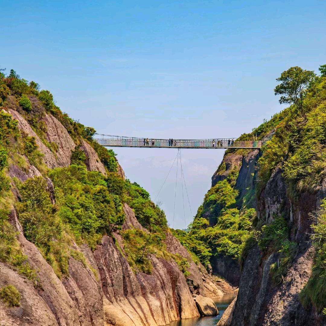 🦚人生ꦿ᭄໊🕊如梦🌲