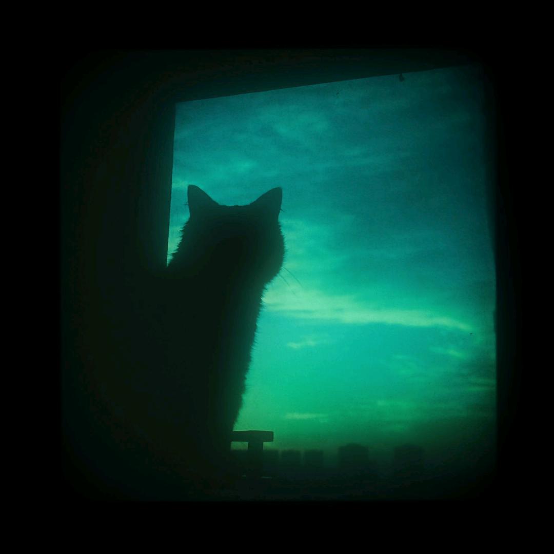 𝙆𝘼𝙂𝙀𝙍𝙊💜