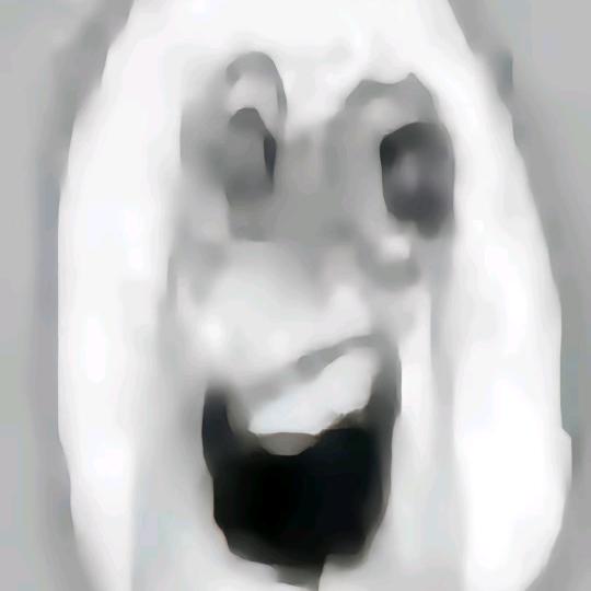 徘徊於此地