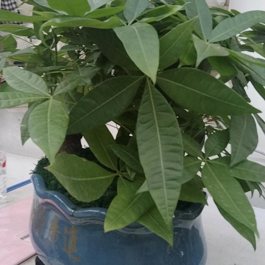 为妳停留