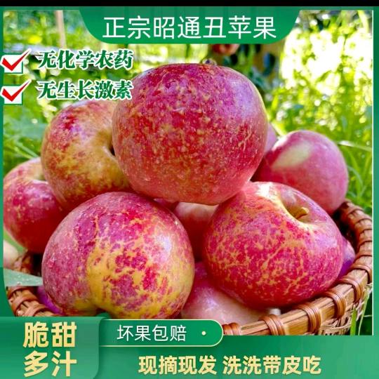 现摘丑苹果