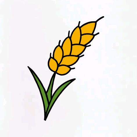 麦子短剧场