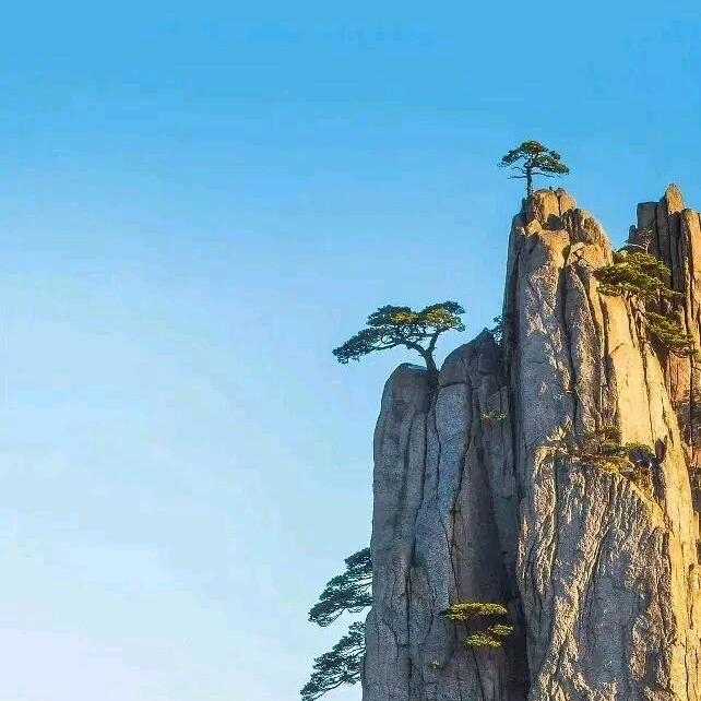 稳若泰山