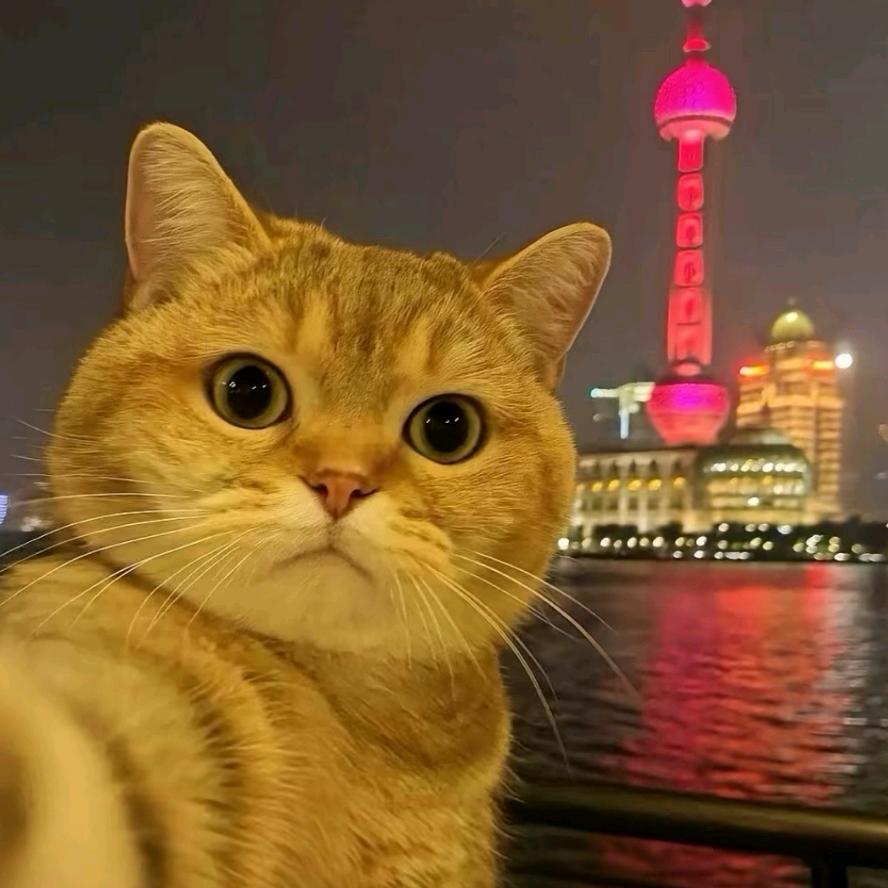 广东锤神（18295国服钟无艳）