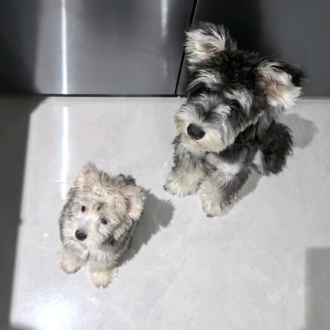 人生短短急个球⁺⁶⁶⁶💤