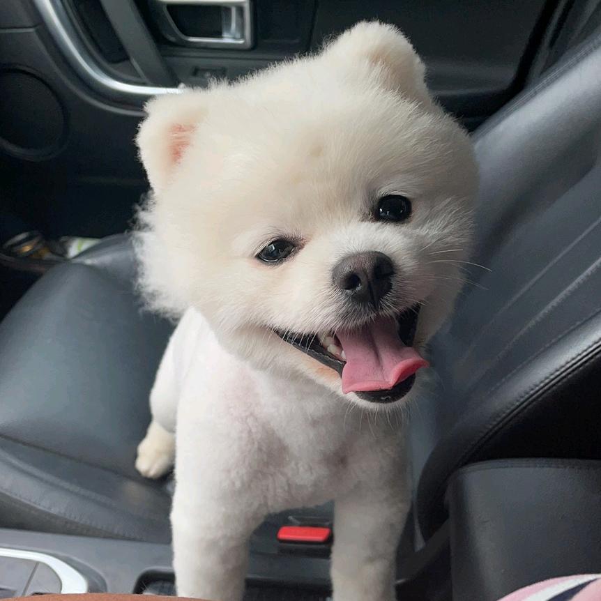 “裸奔”的可乐