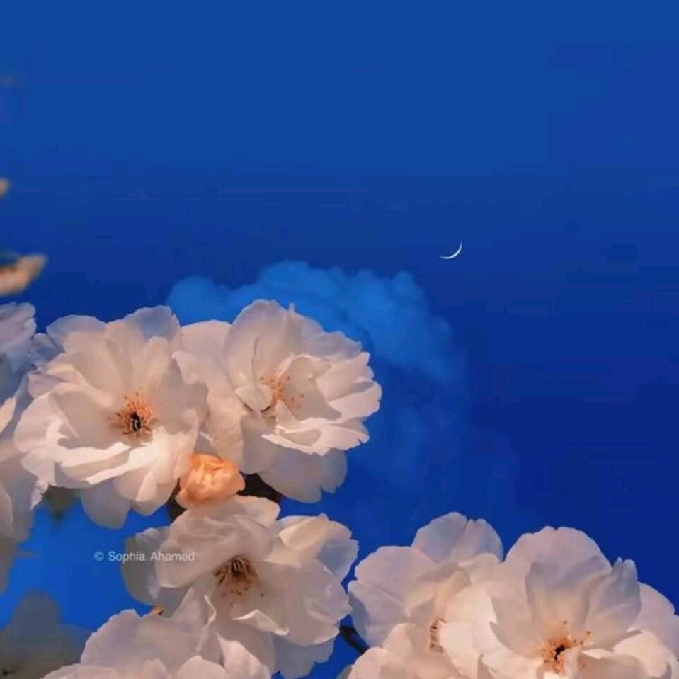 海风