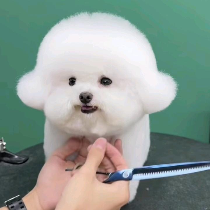 夜郎涛哥《无所谓》