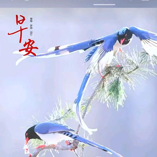 浪🌊锅🌊锅