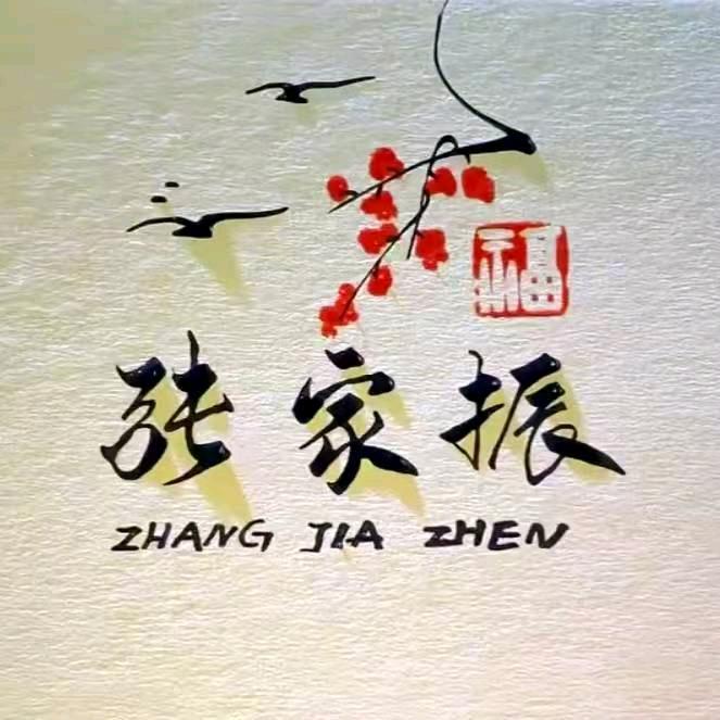 张家振  （团队招人）