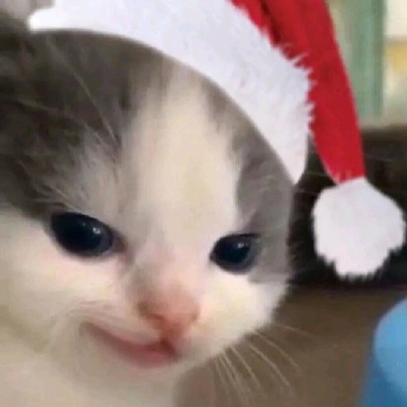 生活鸡飞蛋挞🍰