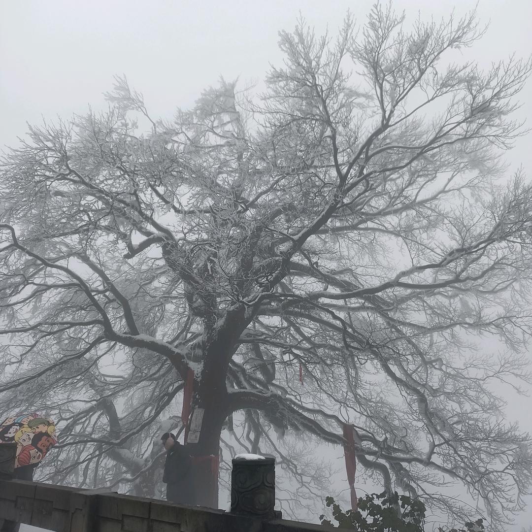 好想有个完整的家