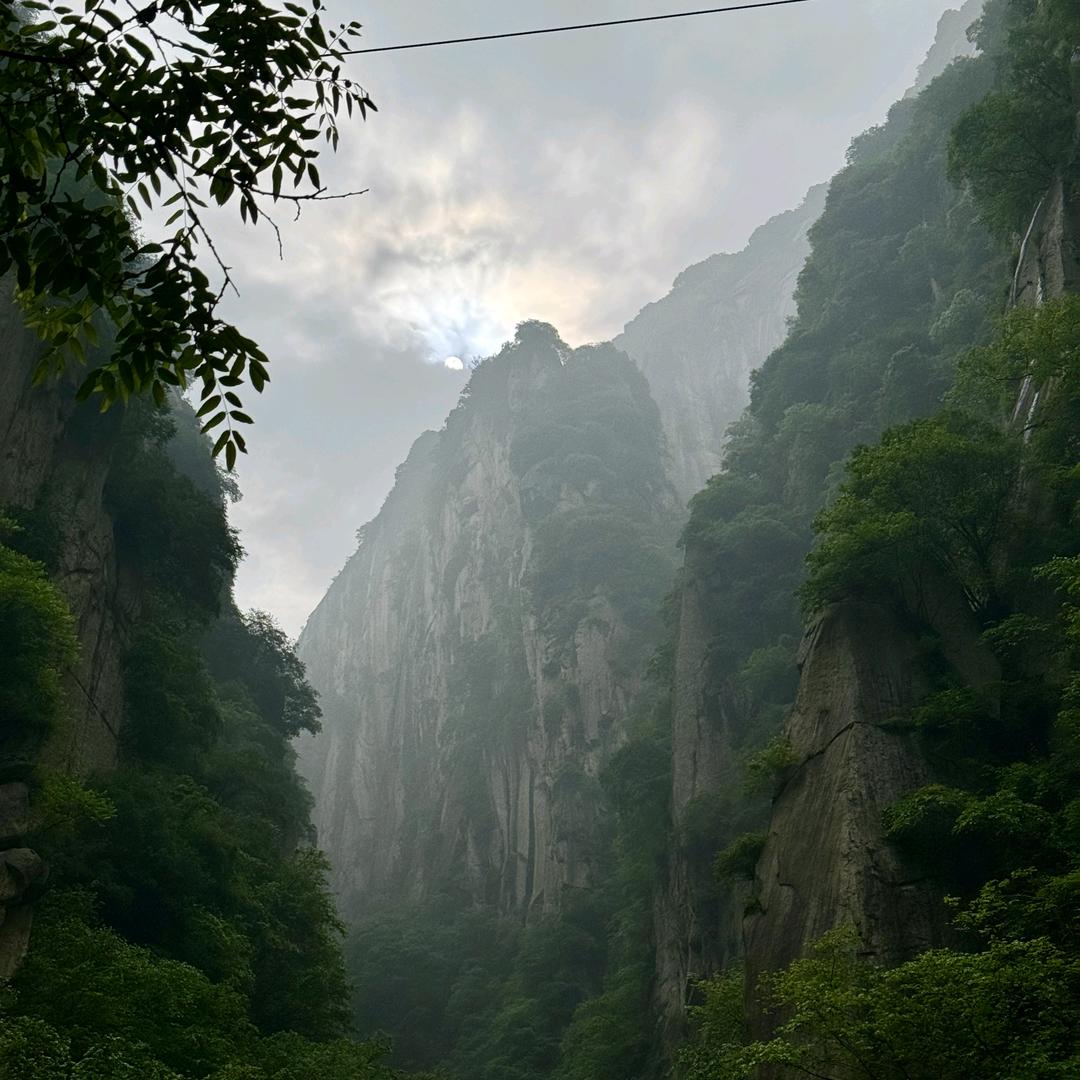 向往自由