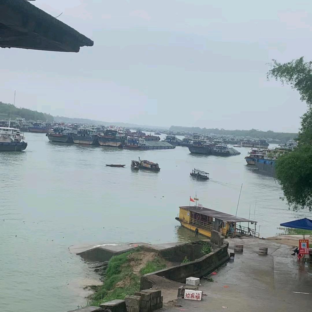 凤丫首播