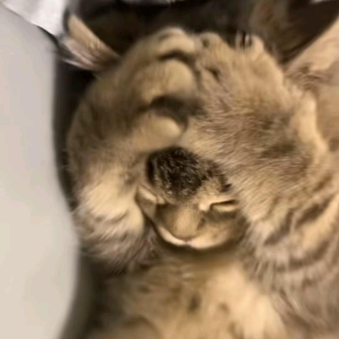 7念