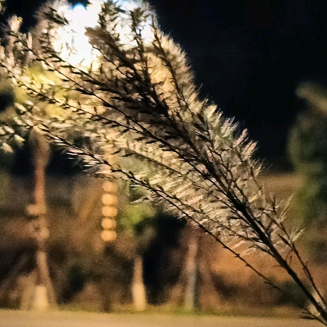 不痛同学（复读版）