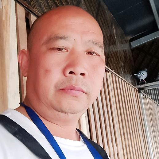重庆鸽子哥哥