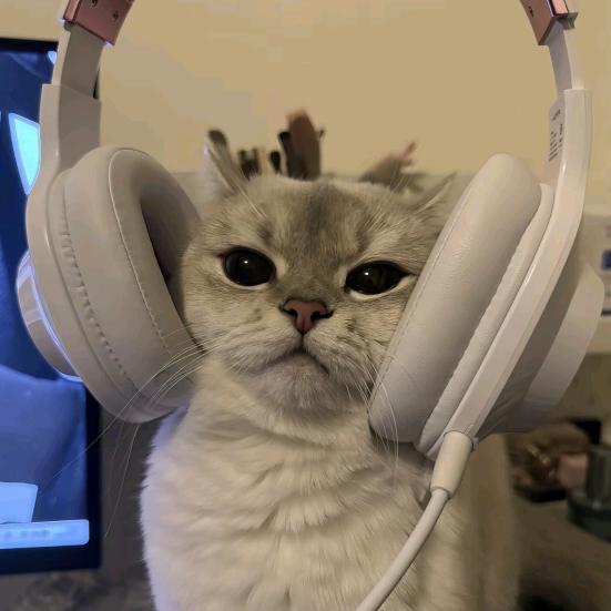 ⌯薯饼˙Ⱉ˙年糕⌯