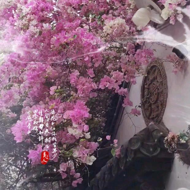 忆往昔