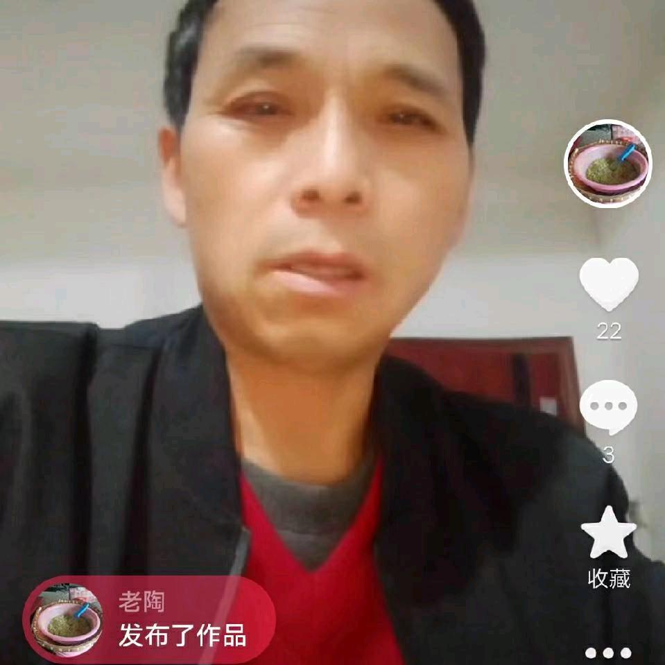 陶凤成