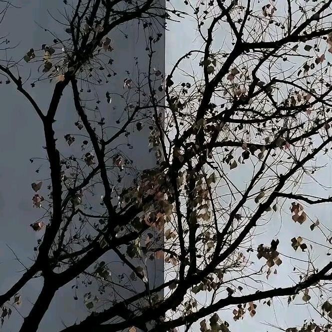 光.