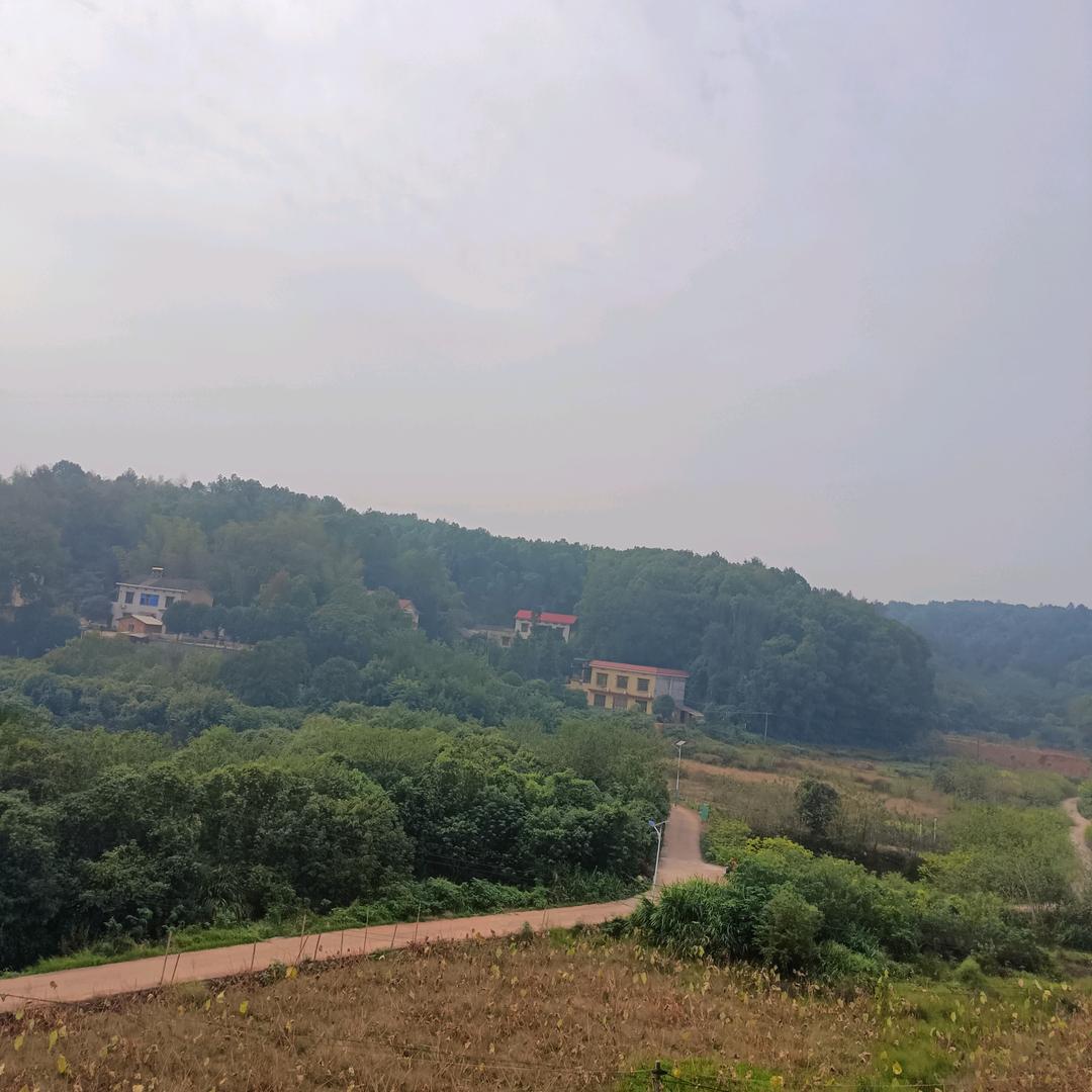快乐每一天