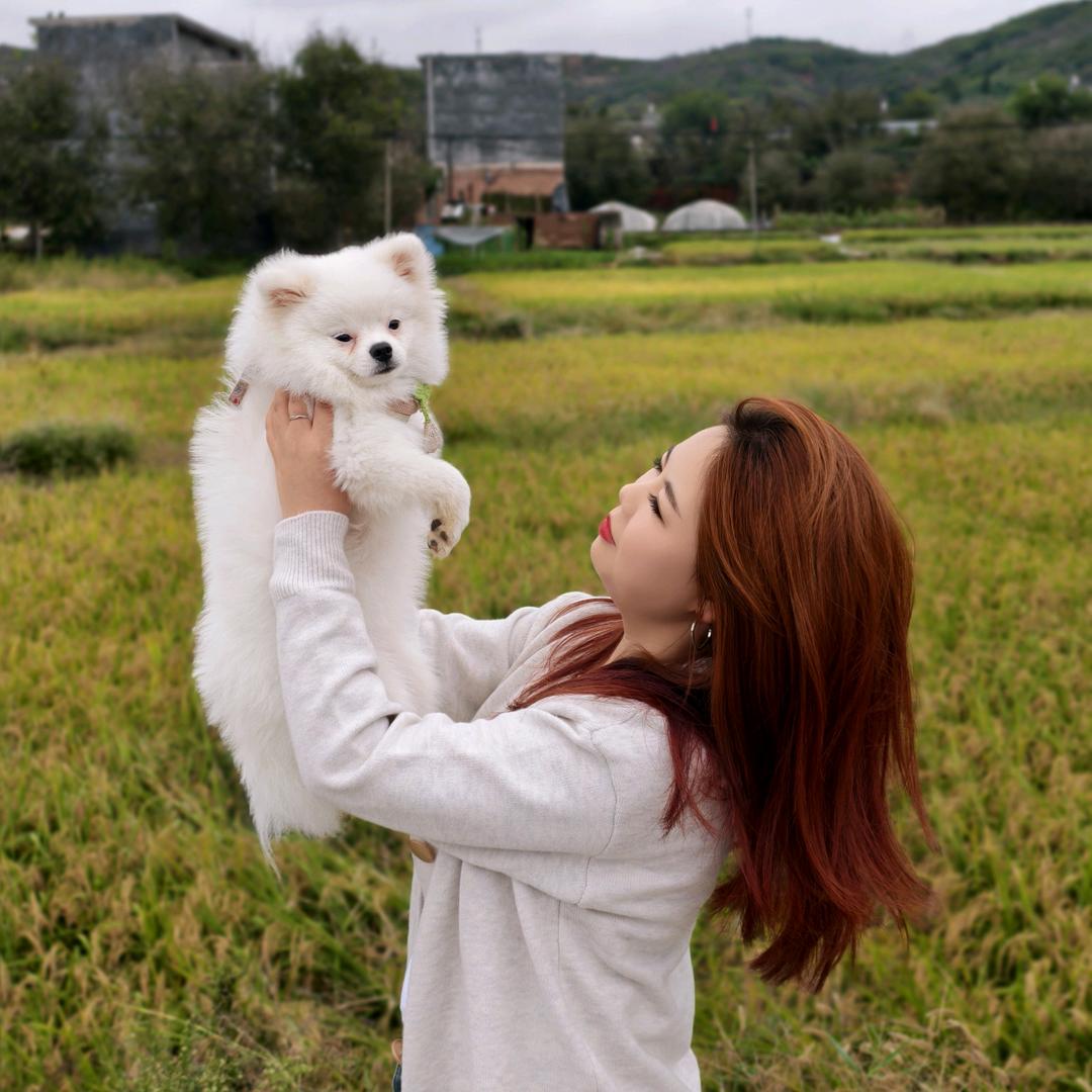 小高(u‿ฺu✿ฺ)