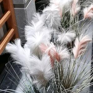 车佰饰