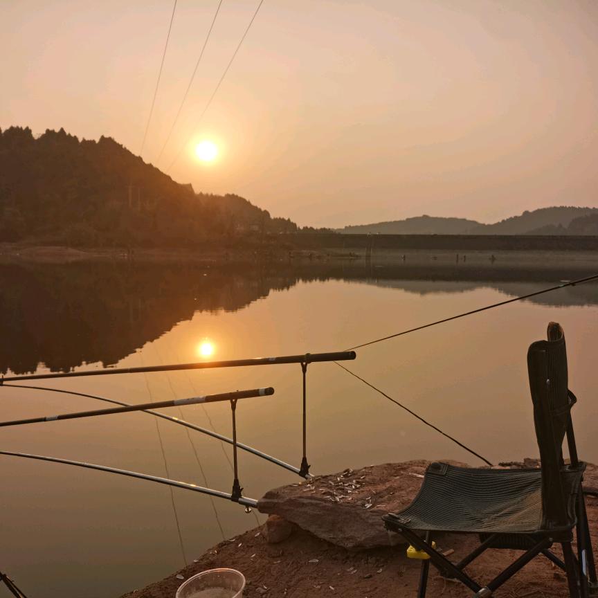 a鱼乐一夏